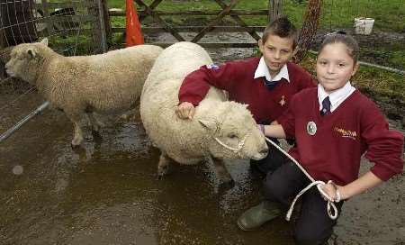 Pupils Peter Missing and Bethany Daniels with Southlands Nobby and Lilly. Picture: DAVE DOWNEY