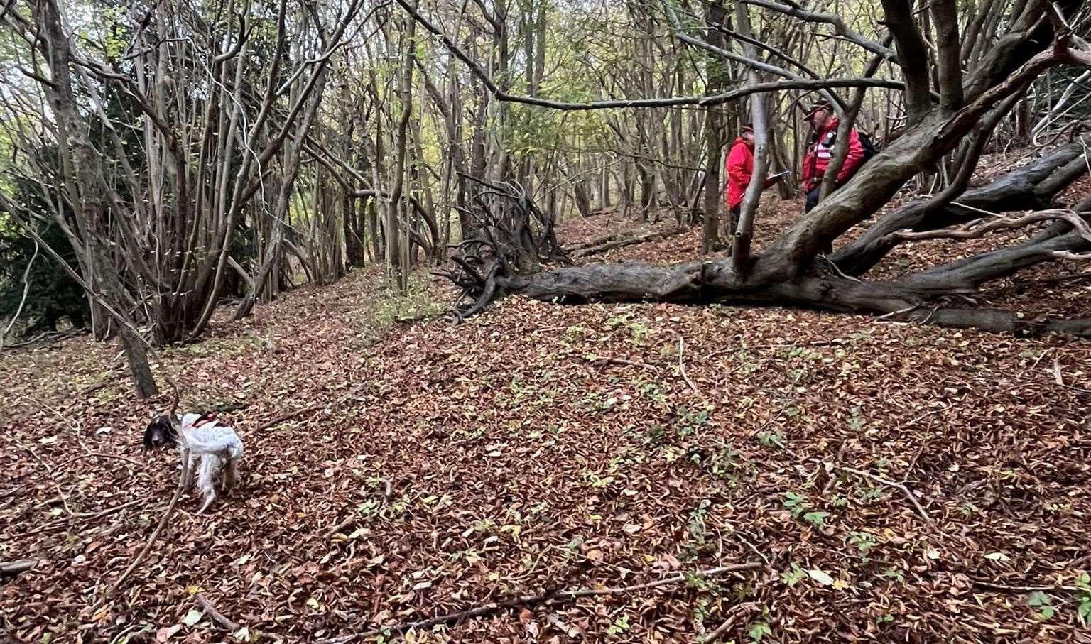 Dog teams, including Kent Search and Rescue dog Bonnie, have been looking for him. Picture: Search Dog Bonnie