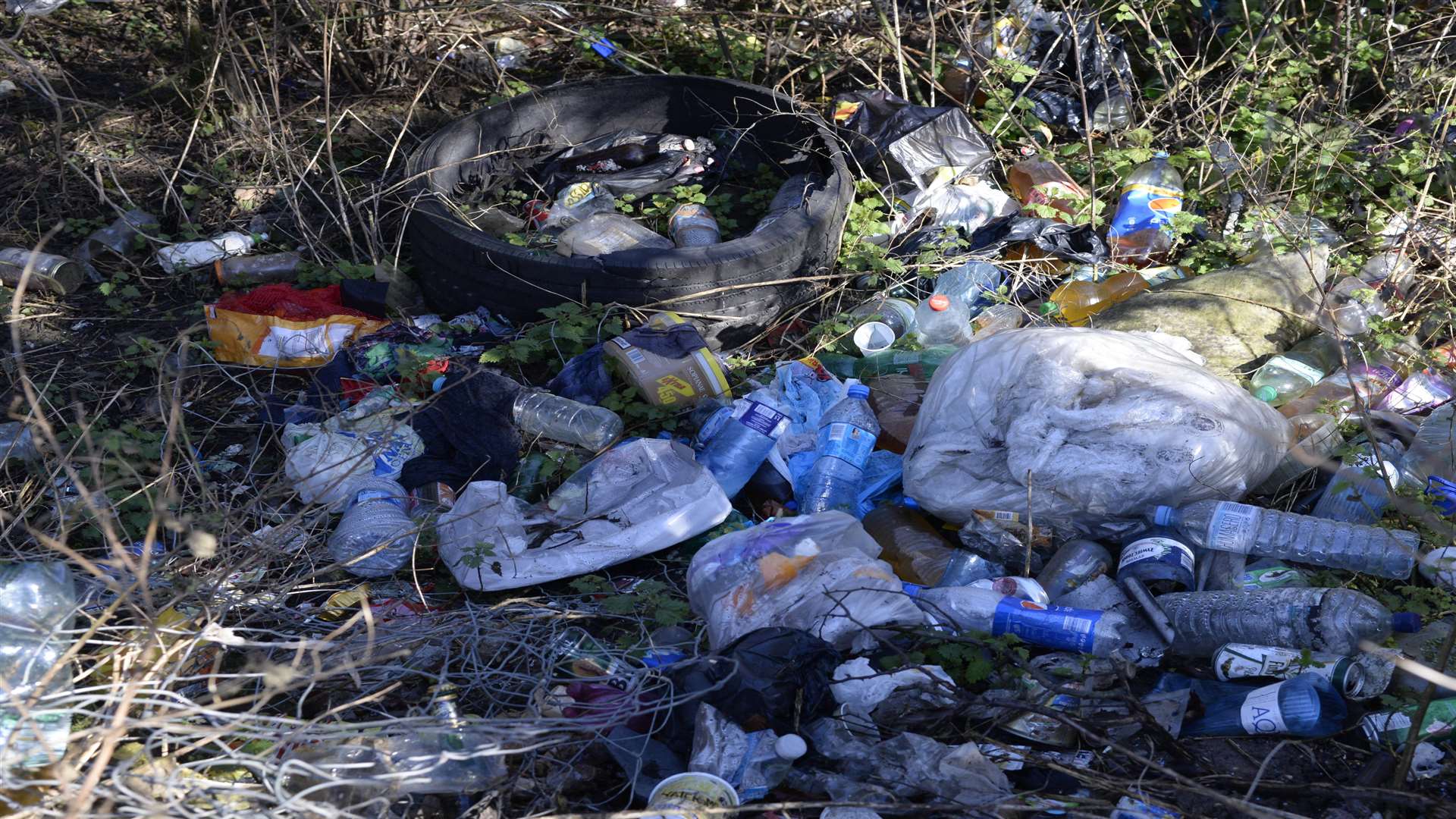 Rubbish by the Ropersole Residential Park near Barham