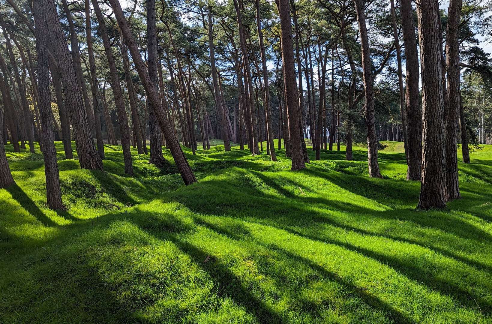 In the landscape of Vimy Ridge there remains evidence of artillery bombardment during the First World War