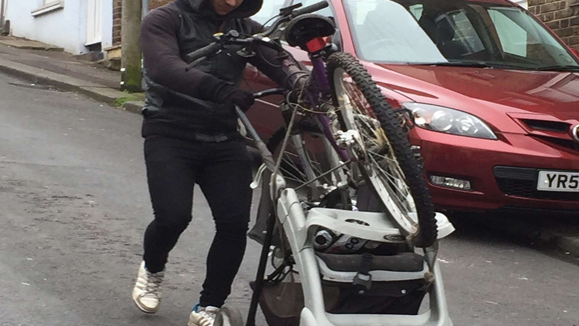 Mrs Briggs set up the petition after getting fed up of regularly seeing bin raiders on her road.