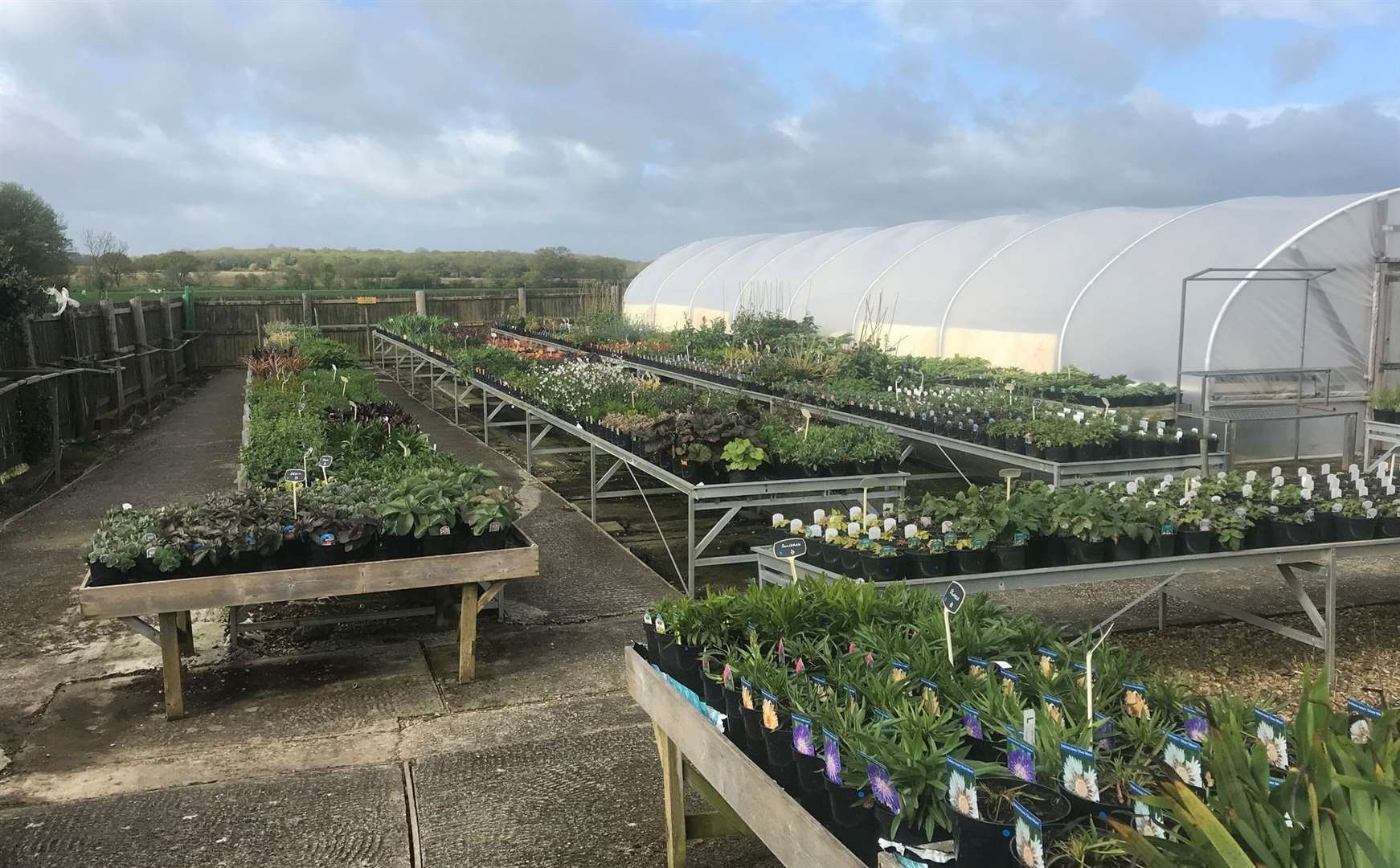 Handcocks Farm Nursery was based in Bethersden Road, Shadoxhurst