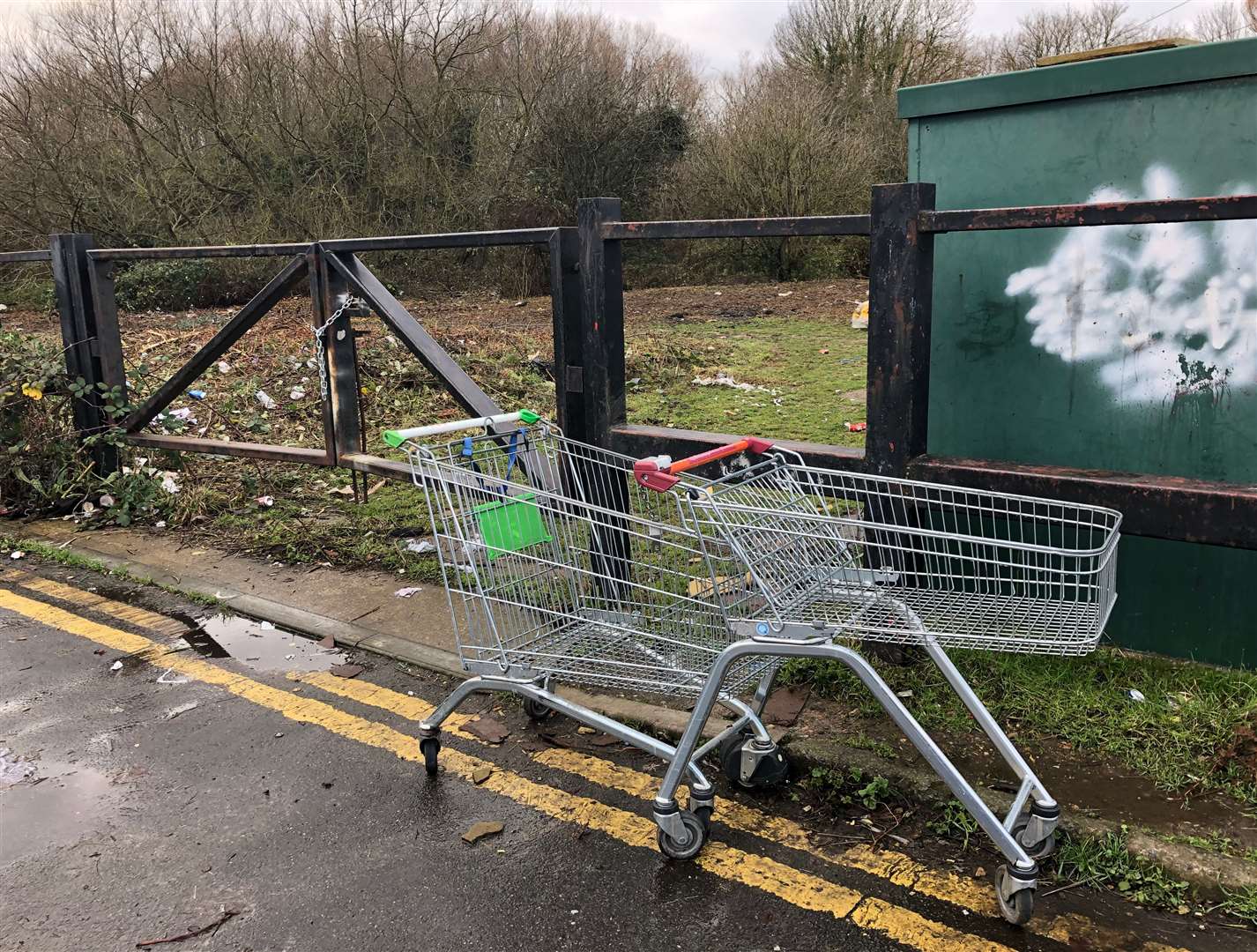 Trolleys can be found abandoned "just about anywhere" according to campaigners. Picture: Sian Pettman