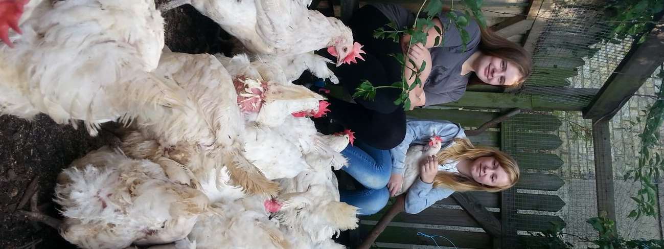 Toni Hallsworth, 13, and Isobel-Louise Hann, 13, helped rehome 170 chickens