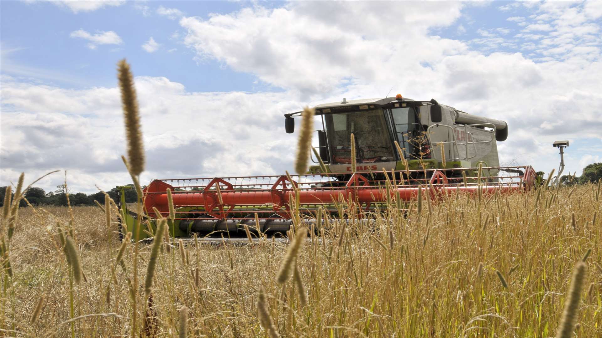 Farmers may be impacted by new wage increase.