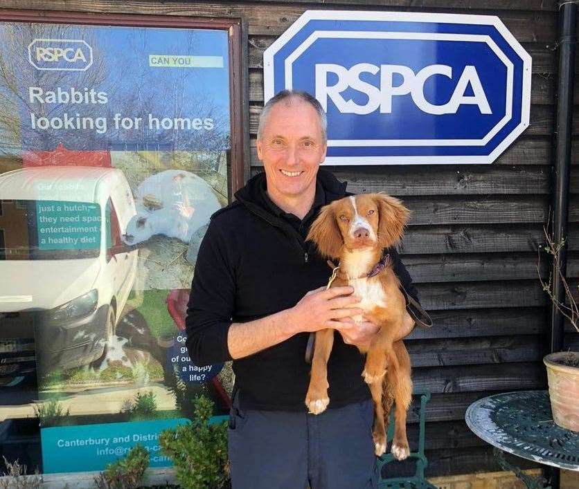 Chester the cocker spaniel puppy. Picture: Facebook/RSPCA-Canterbury and District Animal Centre