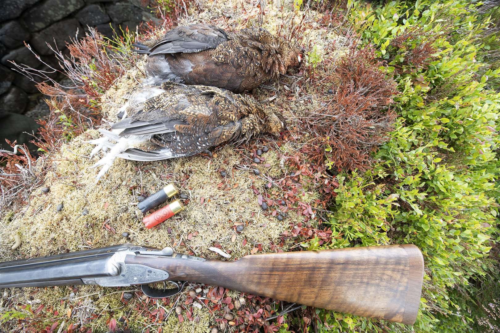 A brace of grouse shot on Jervaulx Moor in North Yorkshire in 2018 (Owen Humphreys/PA)