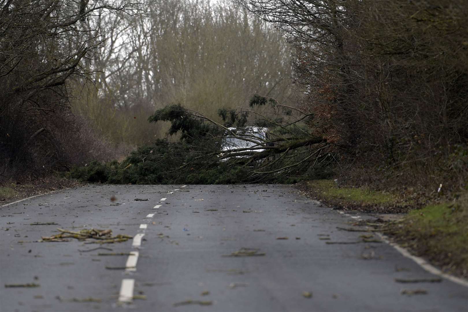 Fallen trees blocked Stone Street near Canterbury. Picture: Barry Goodwin