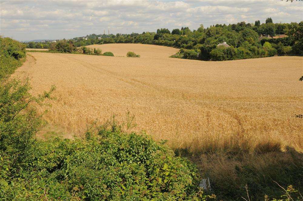 400 homes will be built off Coldharbour Road