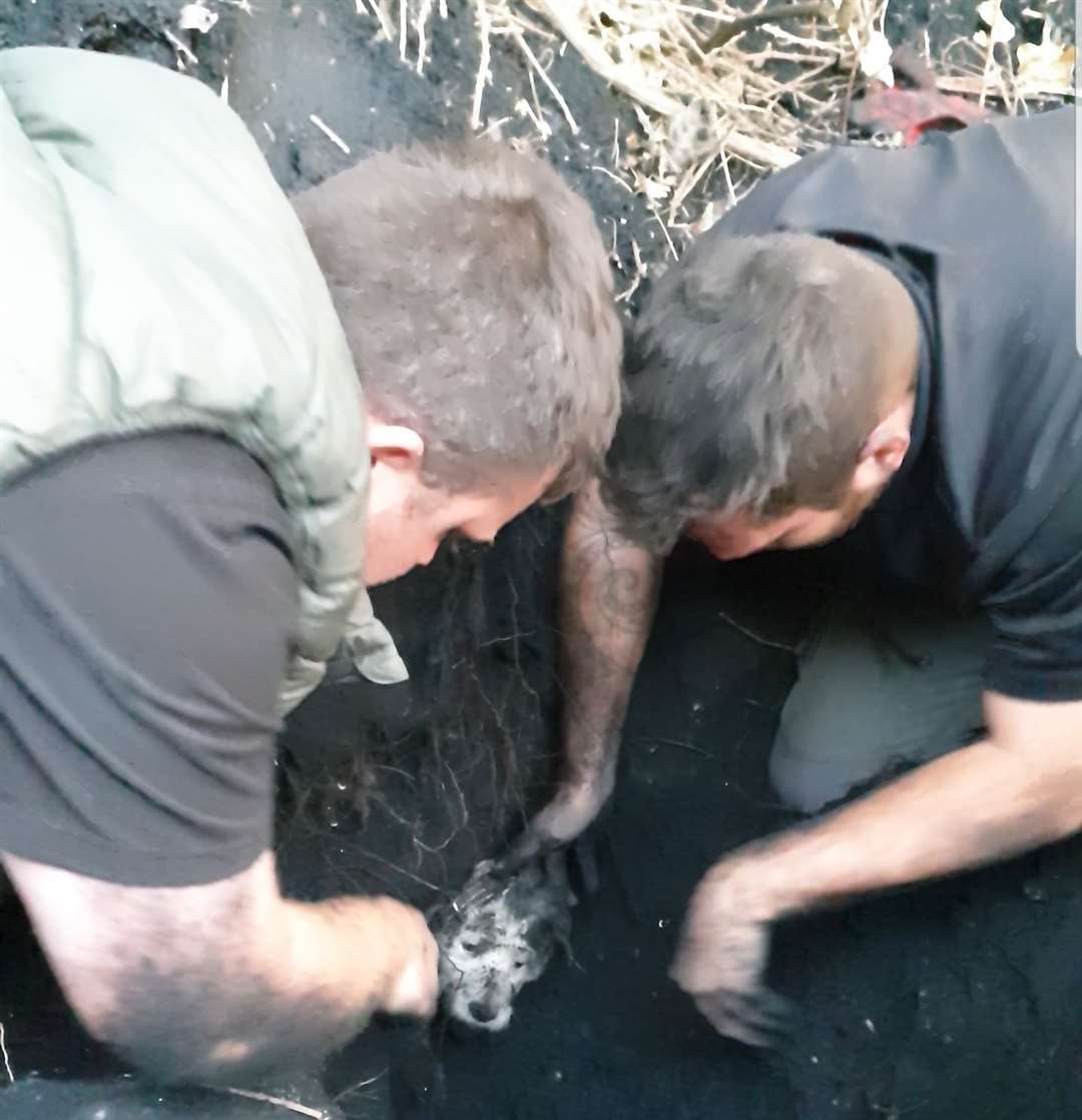 Rescuers use their hands to free Bella from the spoil Picture: Kieron Driver