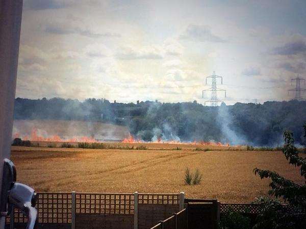 The fire near Riverside Park. Photo: @benhomewood_