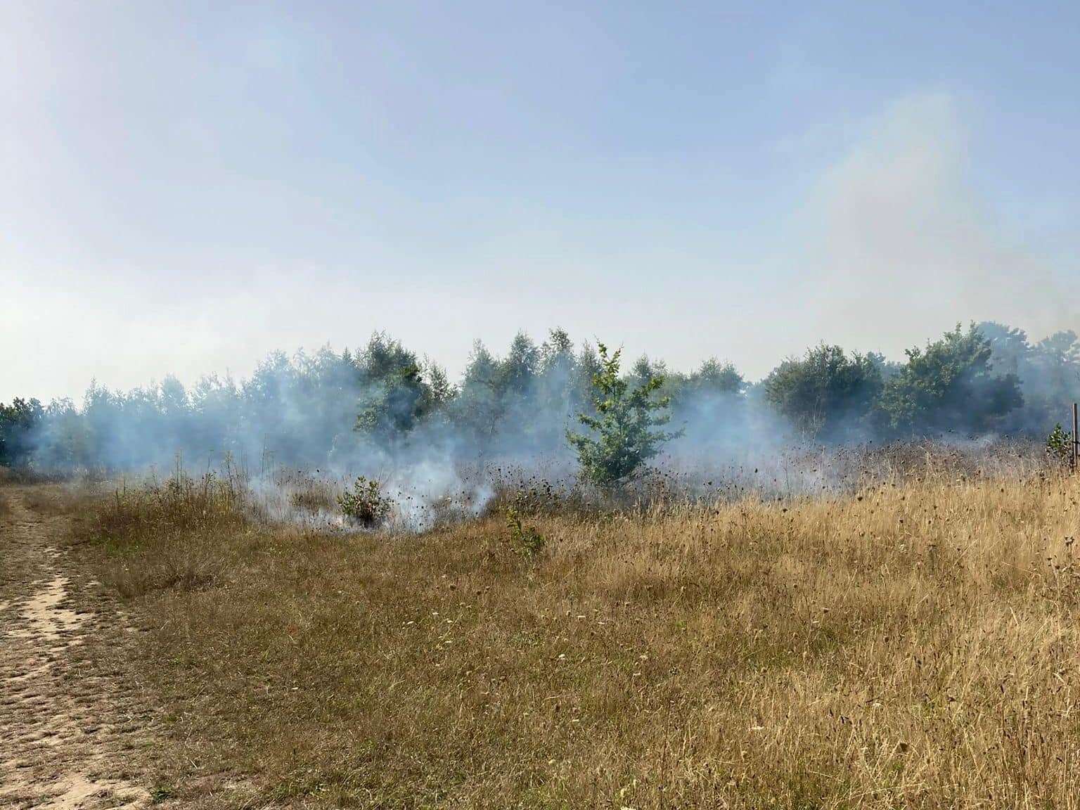 A small patch of grassland was ablaze