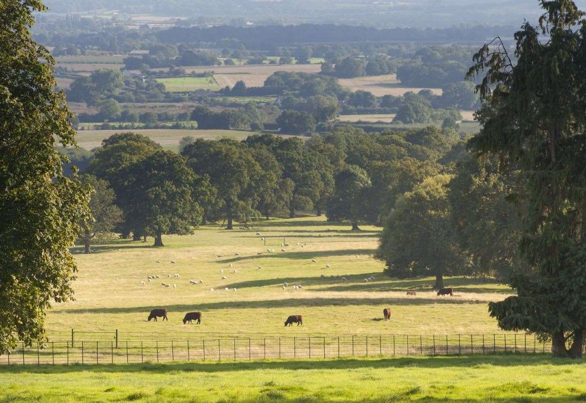 The view from the Greensand Ridge