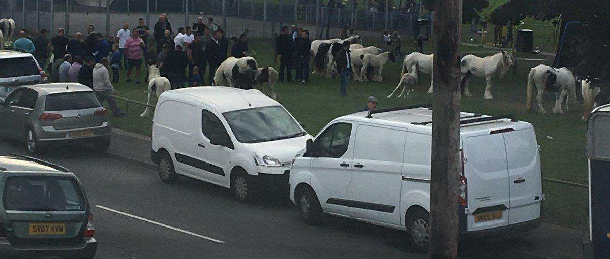 Travellers and horses off Bicknor Road, Park Wood