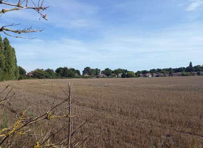 Developers B.Yond Homes - formerly Rydon Homes - has revived plans for a 200-home estate off Nackington Road in Canterbury