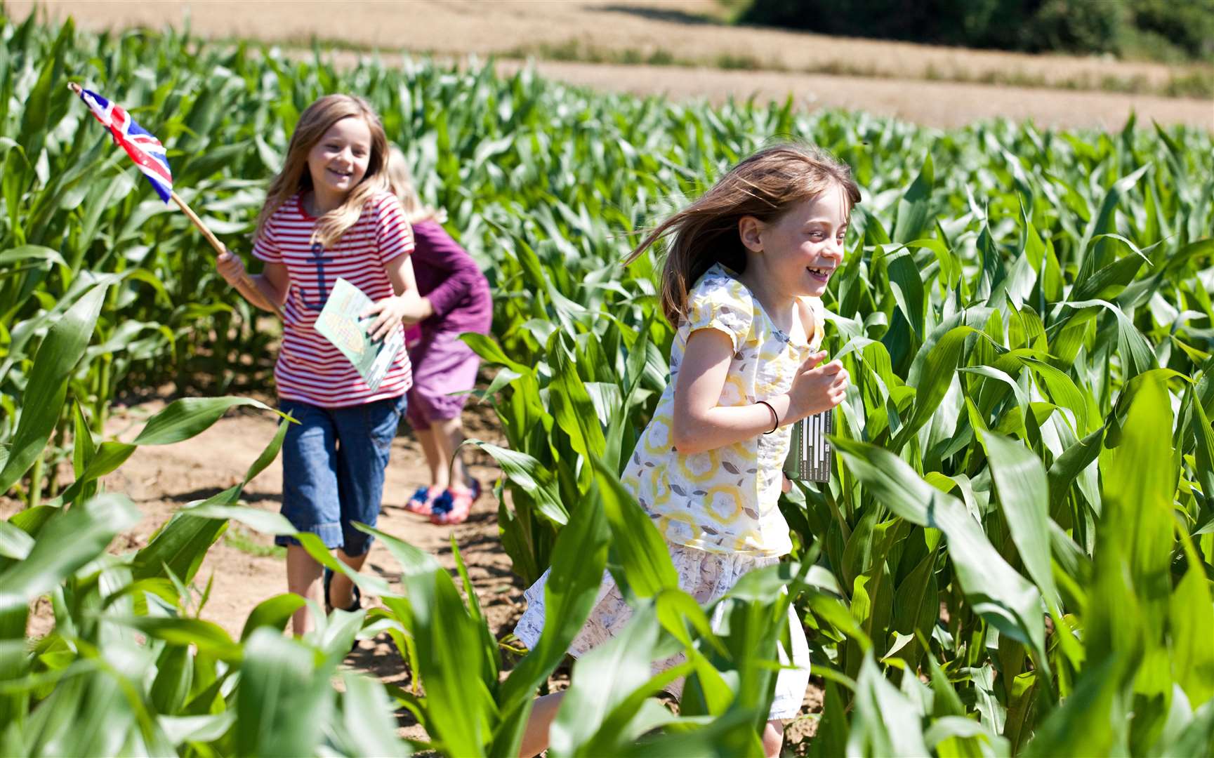 The Maize Maze at Penshurst Place