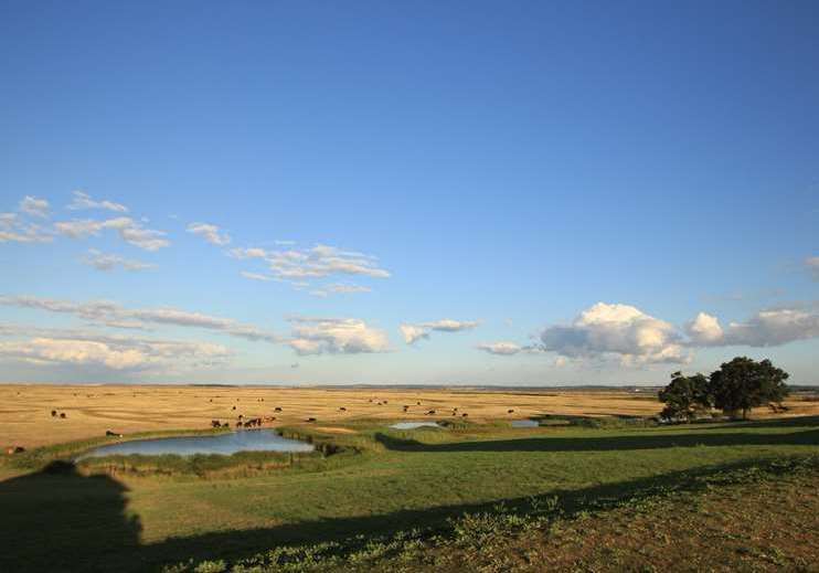 Francesca Rowan-Plowden, also known as Frankie, designed a holiday let at Elmley Nature Reserve on the Isle of Sheppey