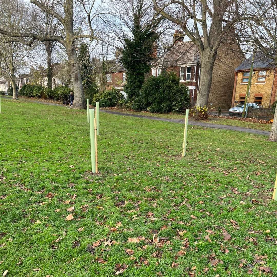 New trees planted at Rainham Recreation Ground