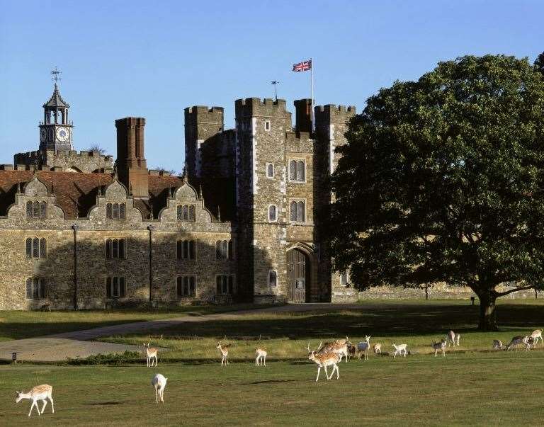 Deer at Knole, Sevenoaks Picture: National Trust