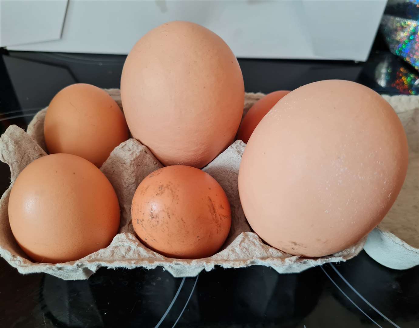 A hen from Faversham has laid giant eggs. Picture: Samantha Oliver