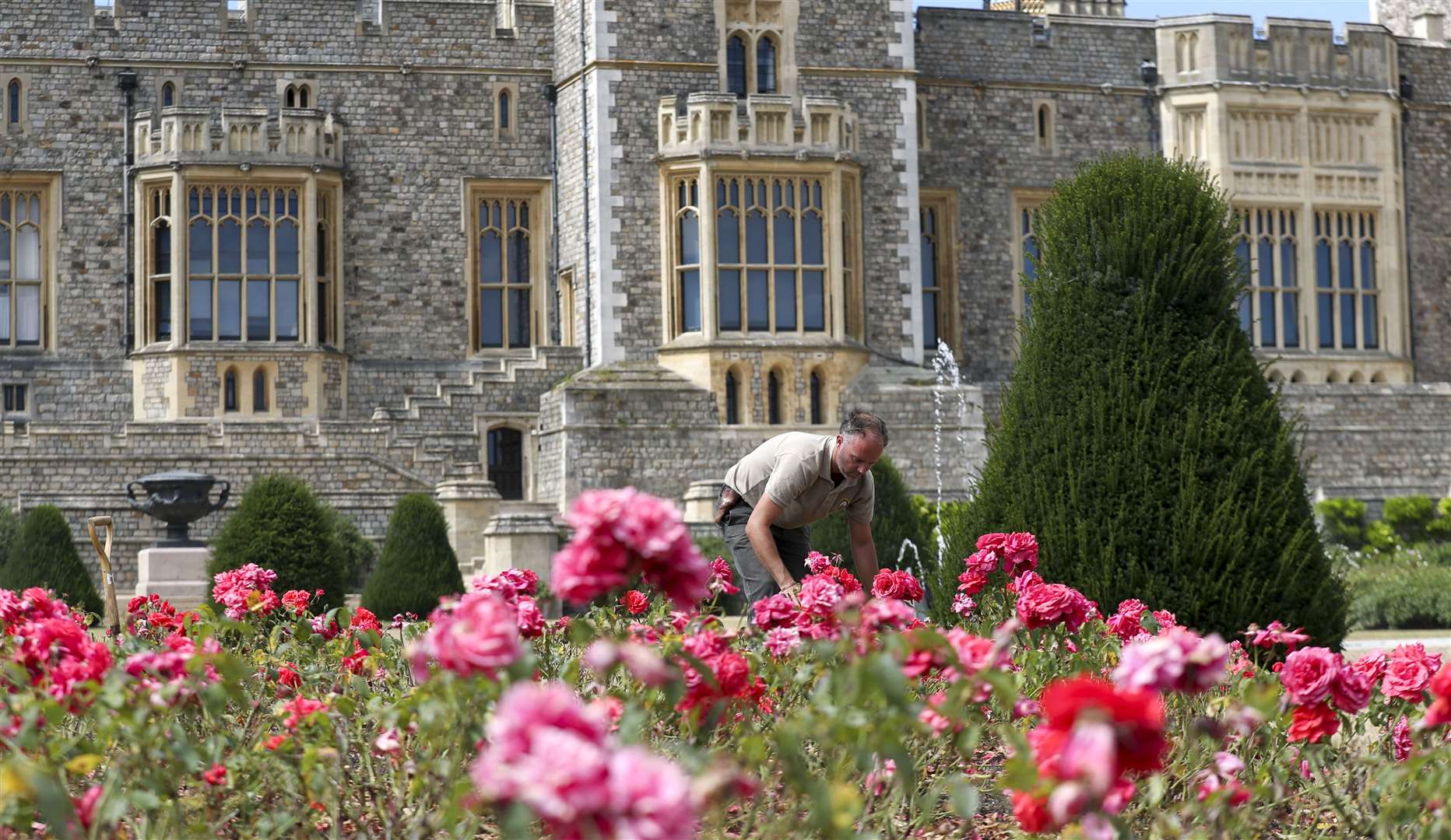 Windsor Castle’s East Terrace Garden features thousands of rose bushes (Steve Parsons/PA)