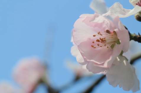 The clocks going forward is a sign of spring