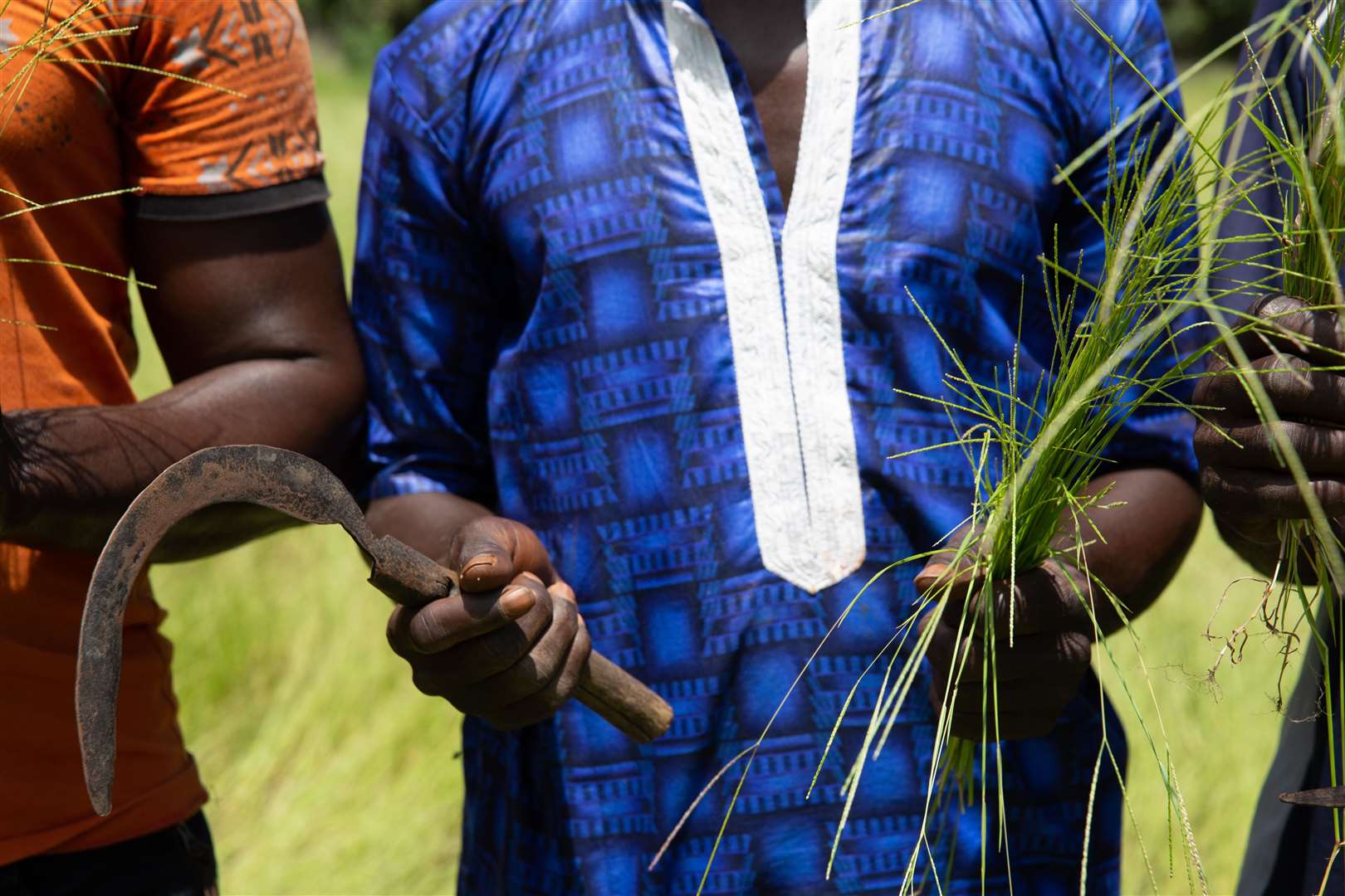 Fonio grain farm workers in Guinea, West Africa (Brewgooder/PA)