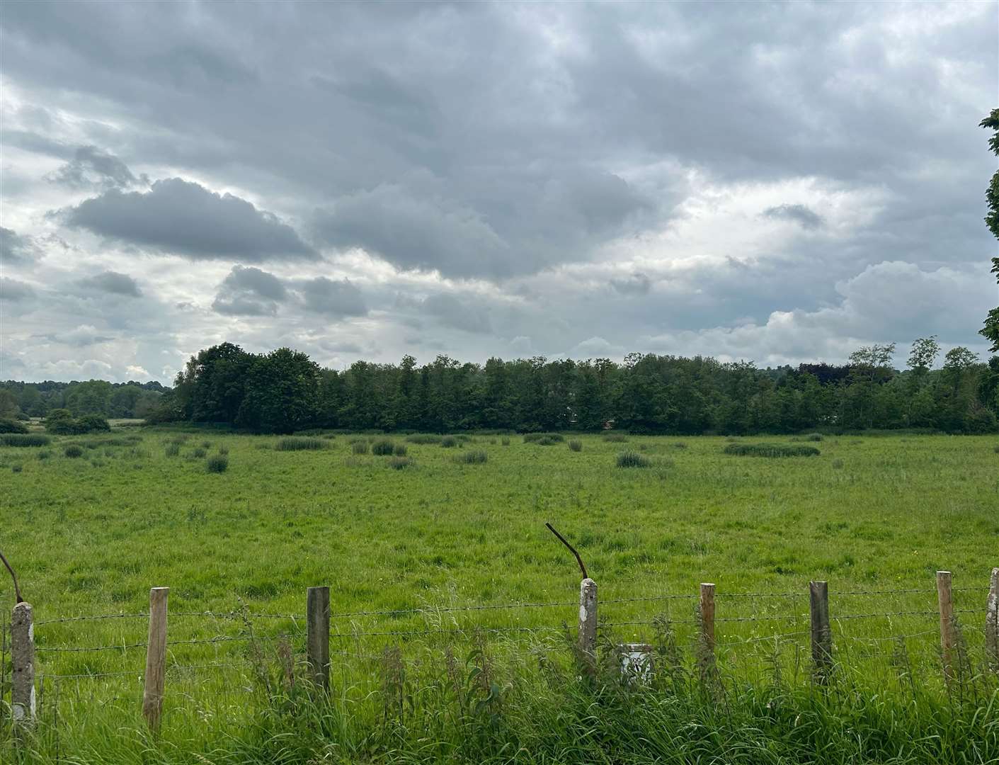 This land off Bagham Road, Chilham could have homes built on it if the proposals were to go ahead.