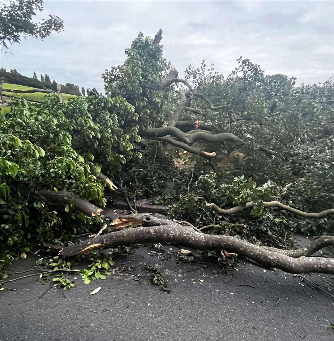 A tree smashed into Jack's car on Darenth Hill in Dartford