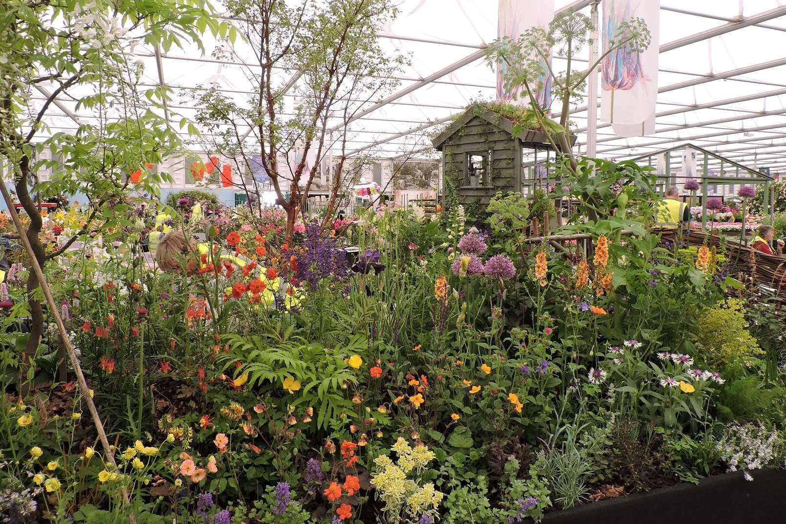 Kent Hardy Plants Society display in The Great Pavilion by Ian West