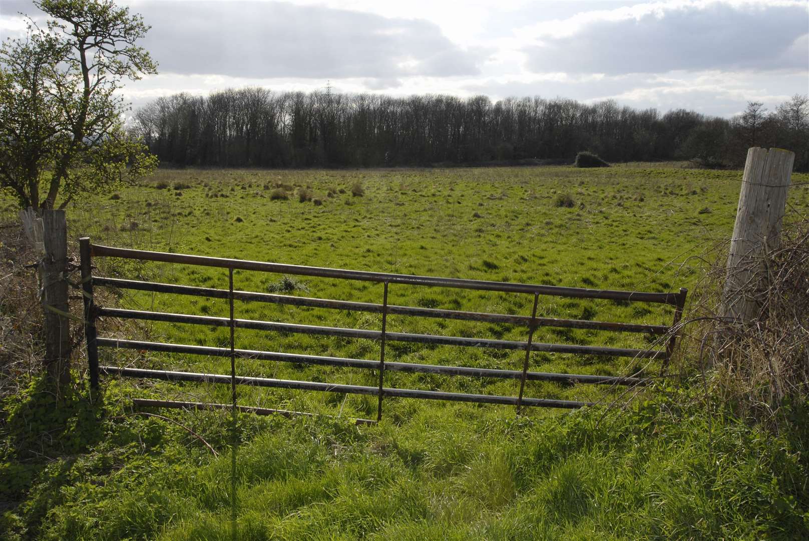 The Bushey Wood site as it is now