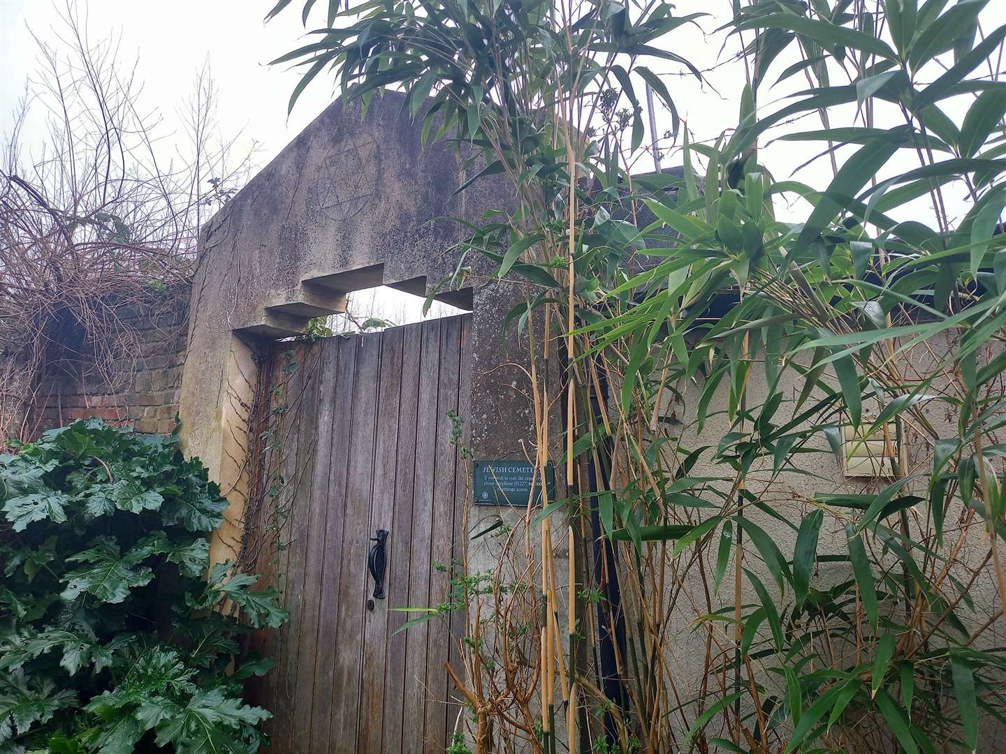 Hidden away from public view, the cemetery is tough to find