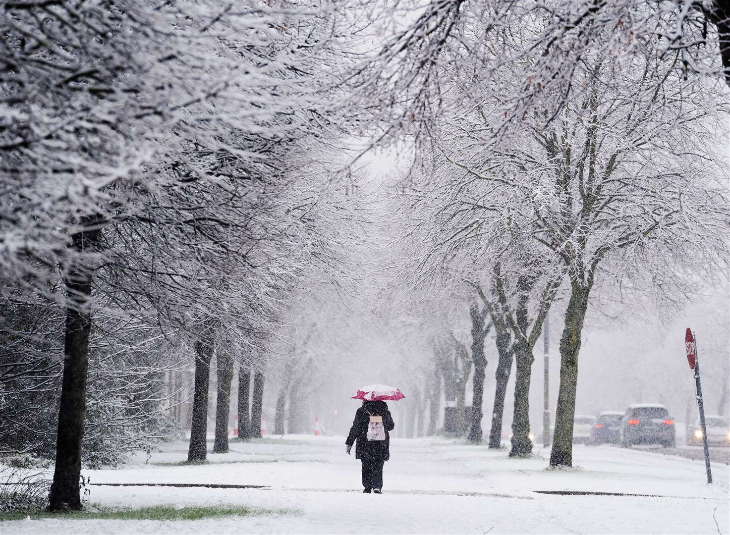 A person uses an umbrella for shelter in Griffith Avenue as snow falls on the Northside of Dublin in early March (Brian Lawless/PA)