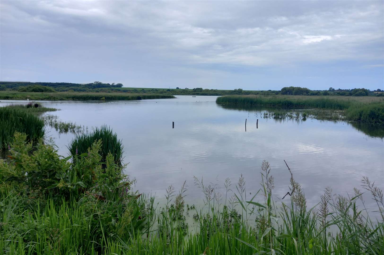 Why thousands of new homes in east Kent held up by pollution issues at Stodmarsh nature reserve, near Canterbury, could finally be built