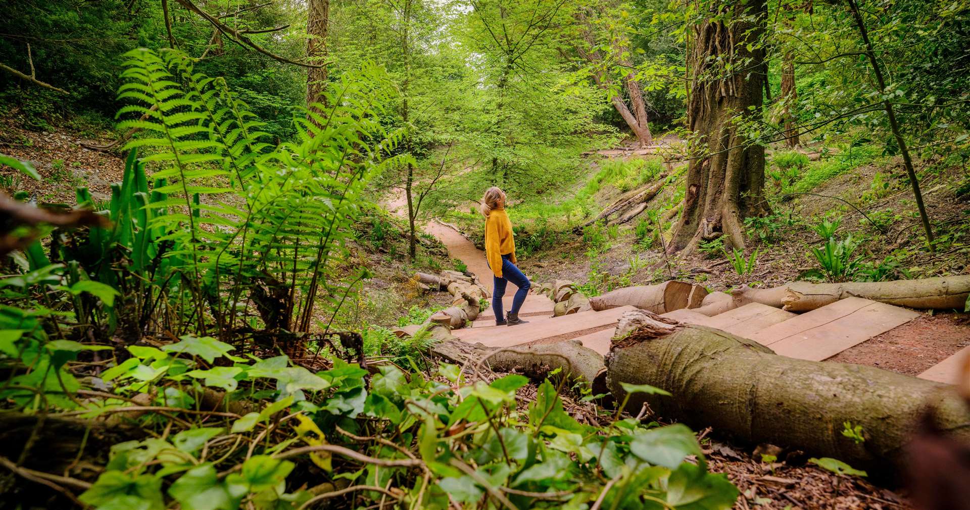 The lost Pleasure Grounds at Walmer Castle have been renovated and reopened