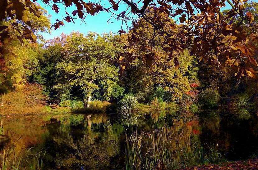 Last month's winner for Autumn landscapes