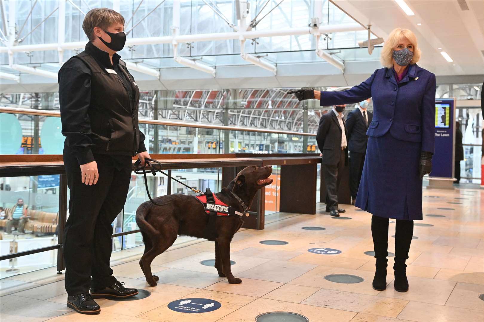 Camilla has pet dogs and got the chance to meet one of the animals being trained to sniff out Covid-19 (Justin Tallis/PA)