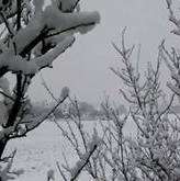 Snow in Kent in January 2010