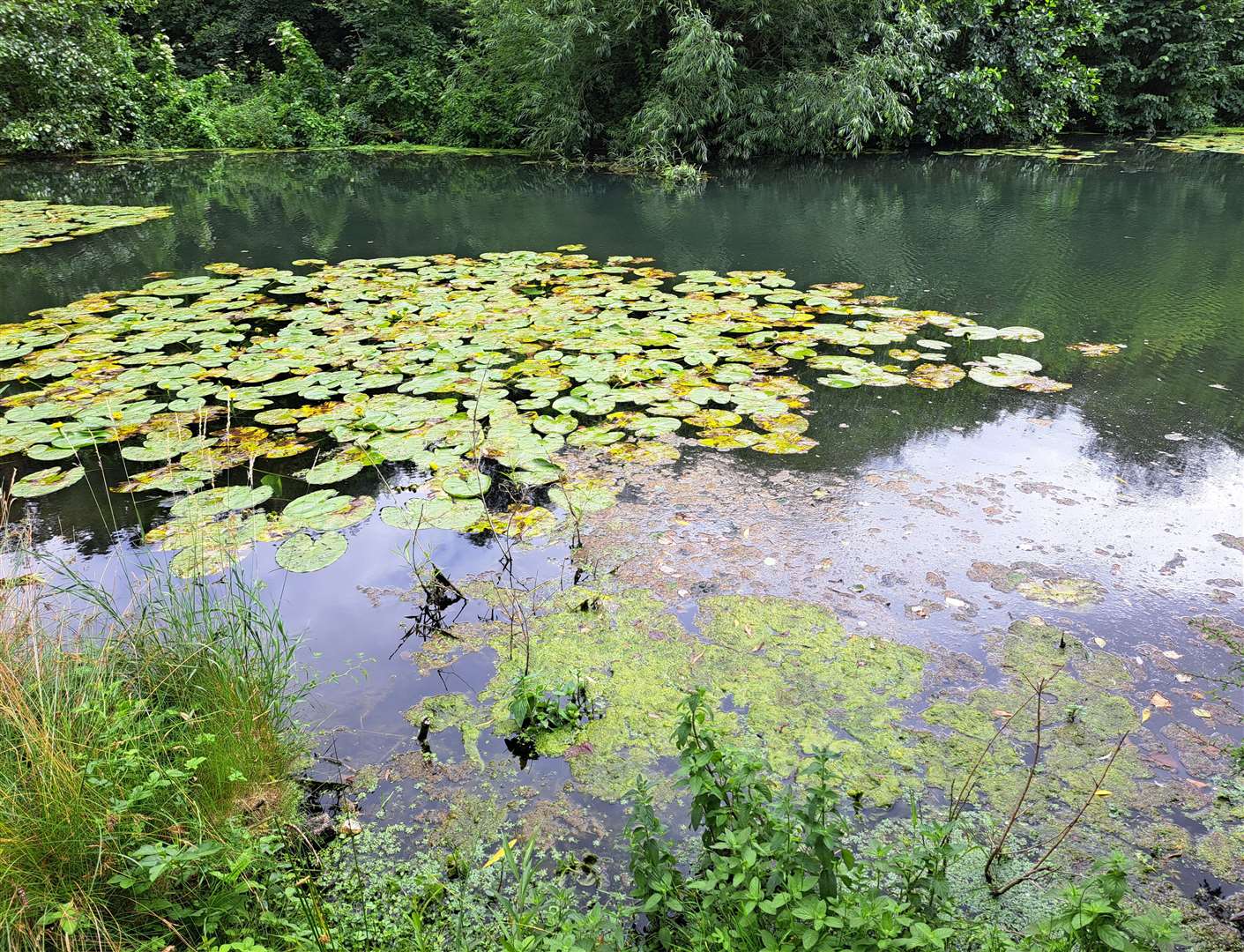 Leg of Mutton Pond