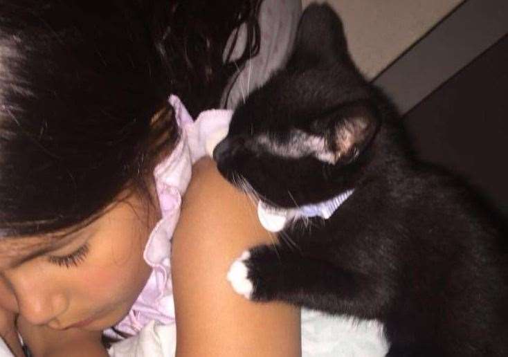 Ashley Hammond-Miller with her cat Theo - who was hit by a car in Boughton-under-Blean - when he was a kitten. Picture: Claire Hammond-Miller