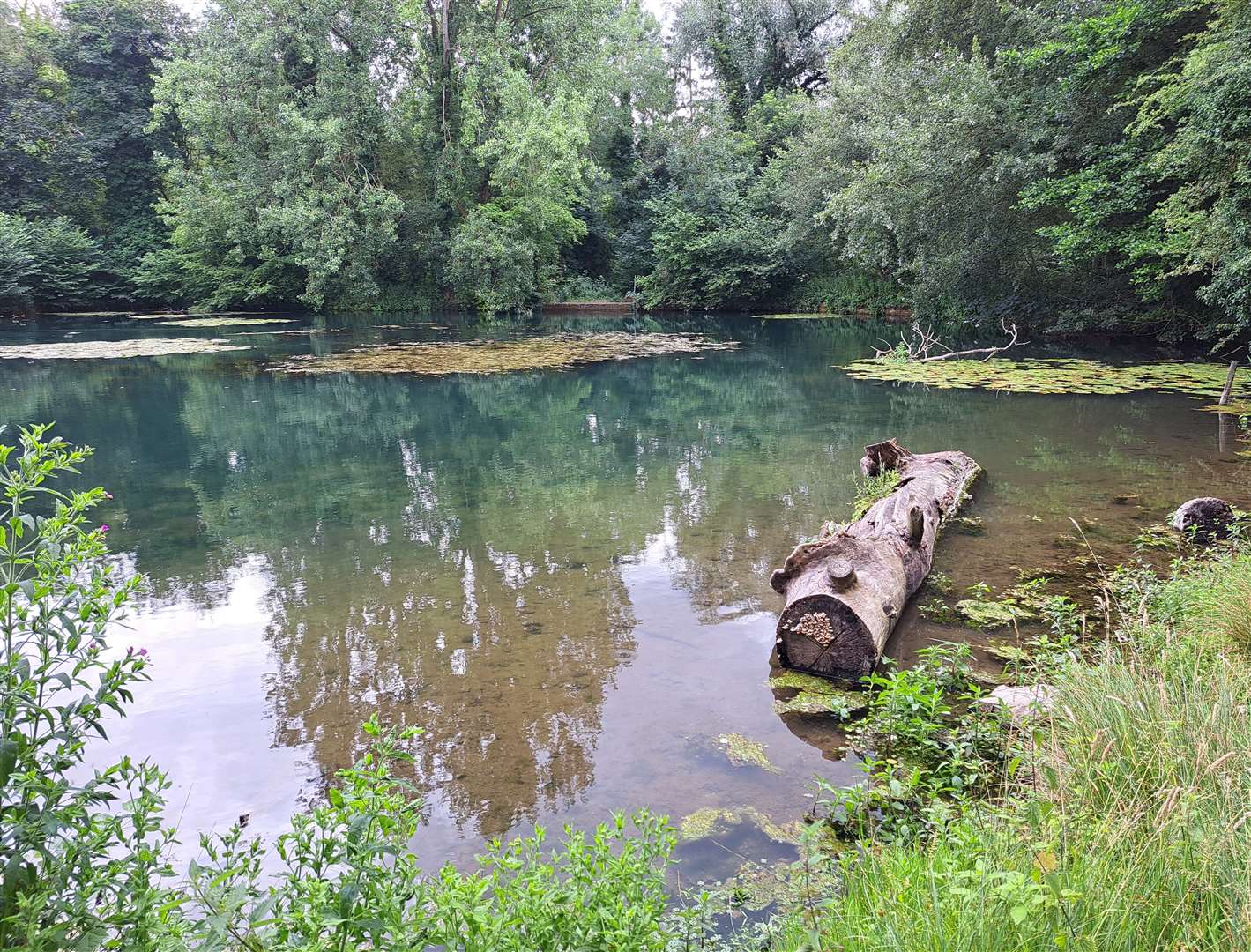 Another view of the Leg of Mutton pond