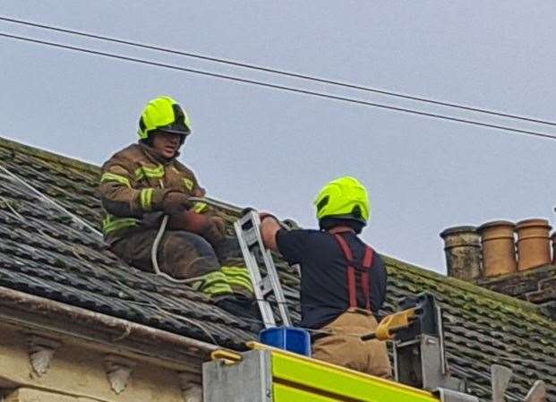 Firefighters up on the roof yesterday