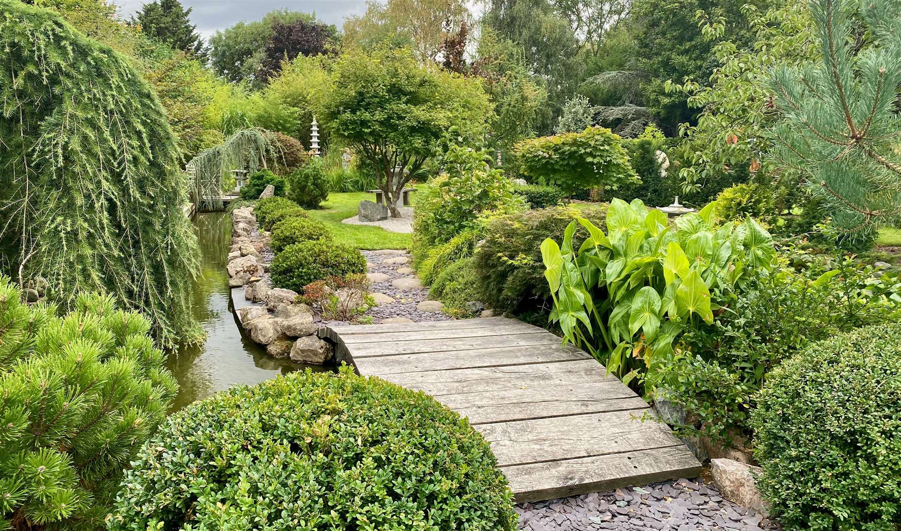 The Japanese gardens at the Silk House. Picture: National Garden Scheme