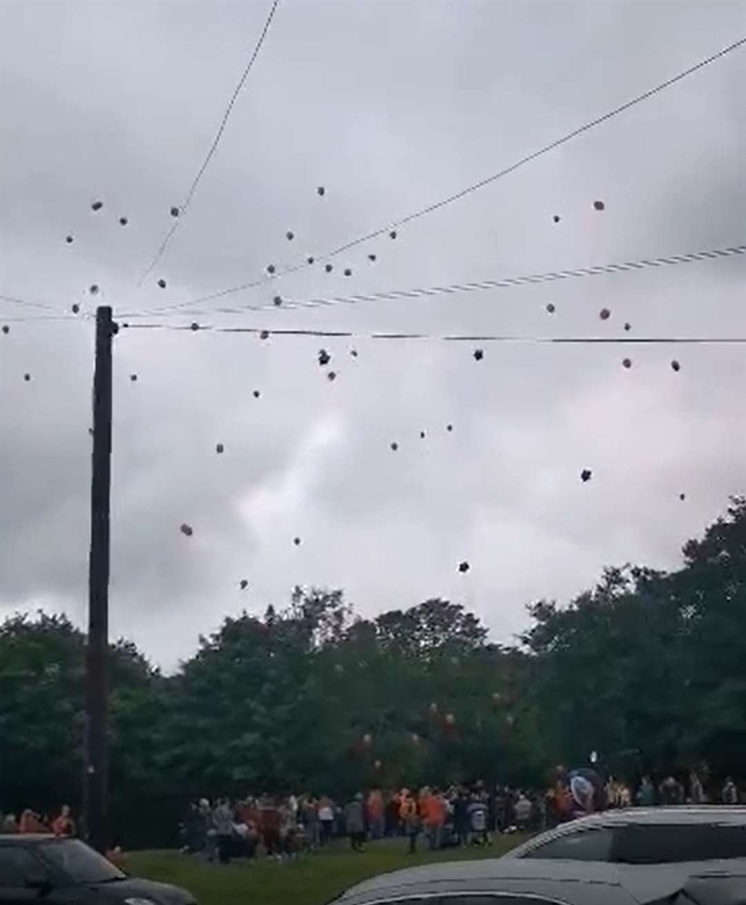 Locals release balloons near Pandy Park (PA)