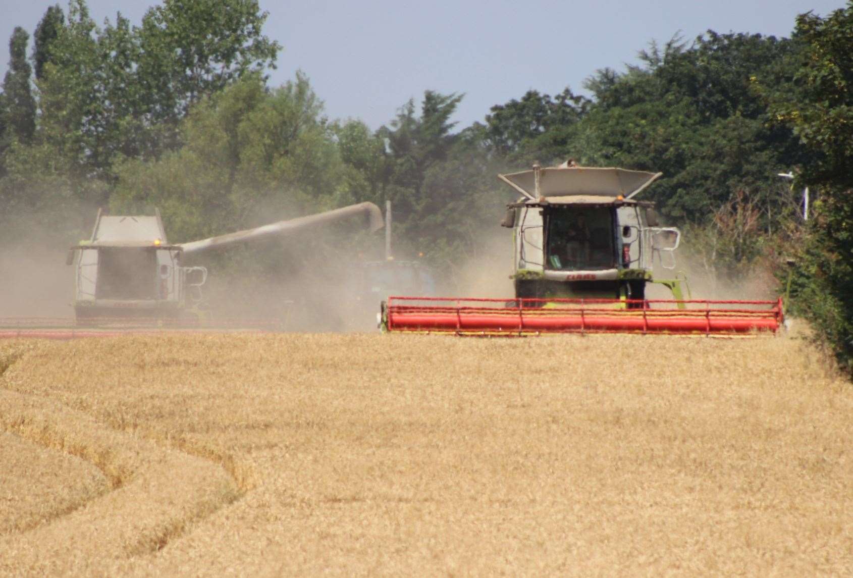 Kent is packed with countryside - despite a wave of housebuilding - but is ‘the Garden of England’ an outdated promotional line?