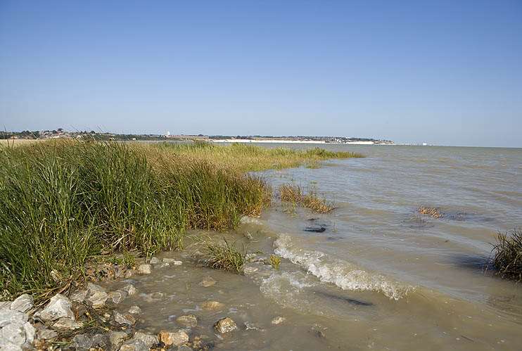 Pegwell Bay