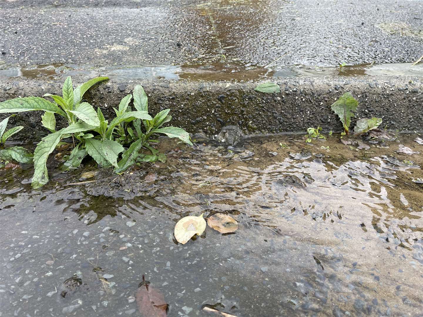 Water can be seen flowing from two places on the pavement