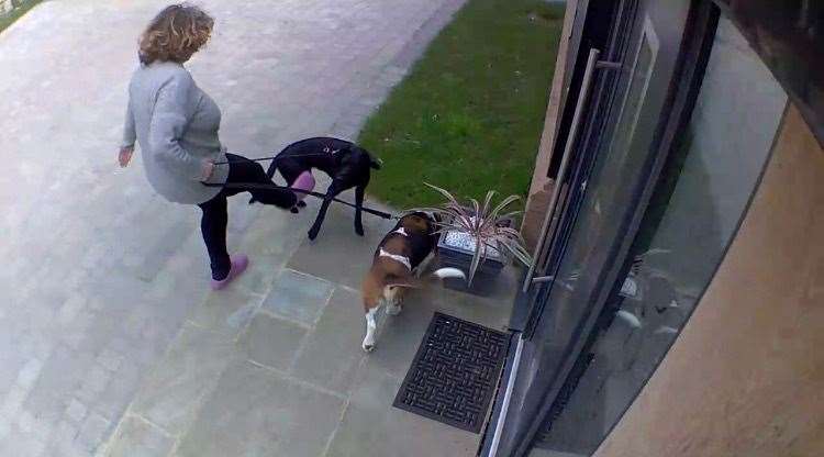 She was recorded kicking the dog on CCTV on Thursday, April 11 (8536966)