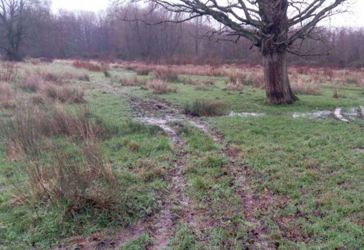 A quad bike has “wreaked havoc” at Hothfield Nature Reserve. Picture: Kent Wildlife Trust