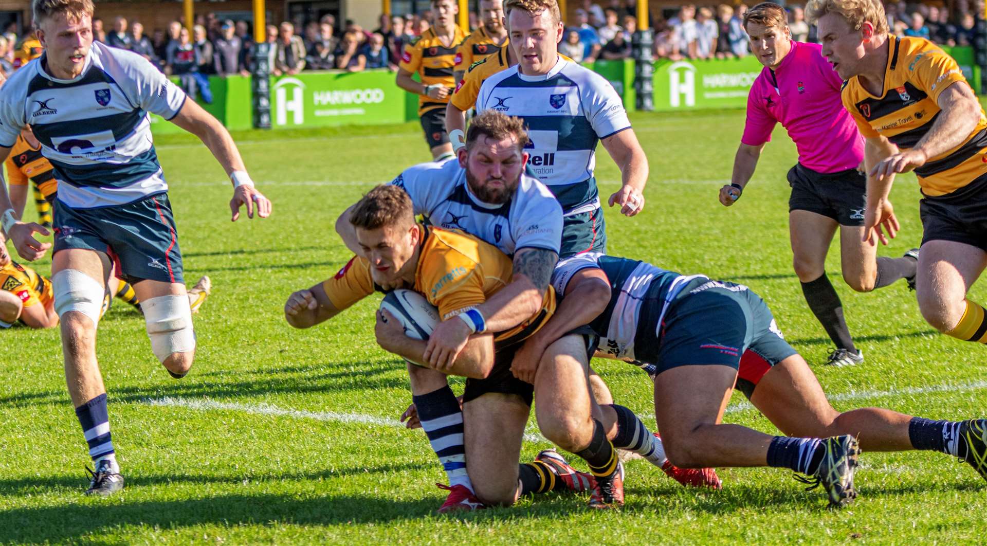 Canterbury's Will Waddington forces Havant on the defensive. Picture: Phillipa Hilton